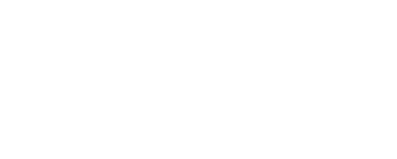 Soft Telecom